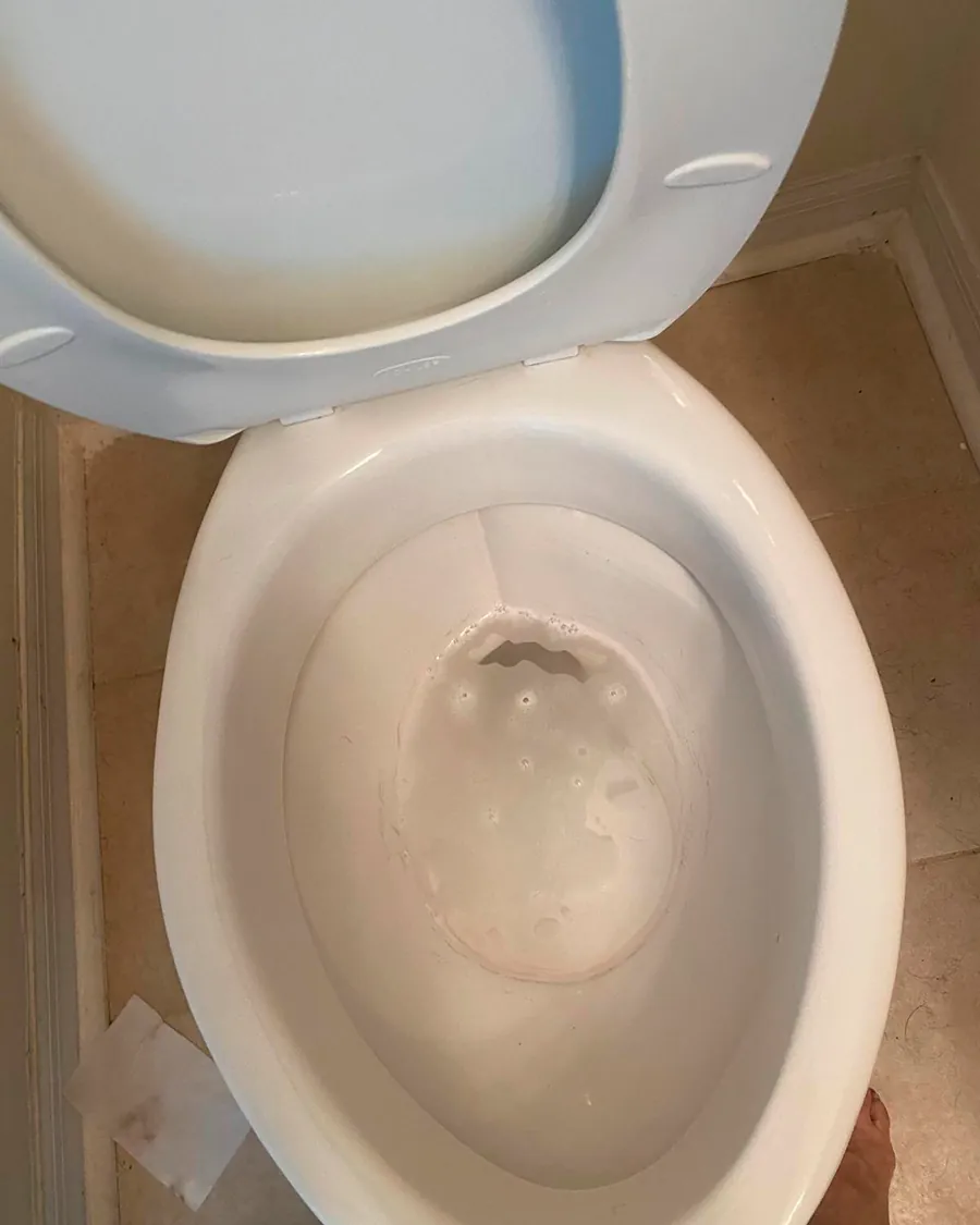 Same toilet after deep cleaning