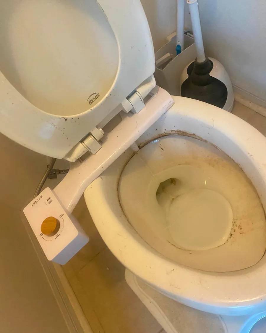 Toilet with limescale before deep cleaning
